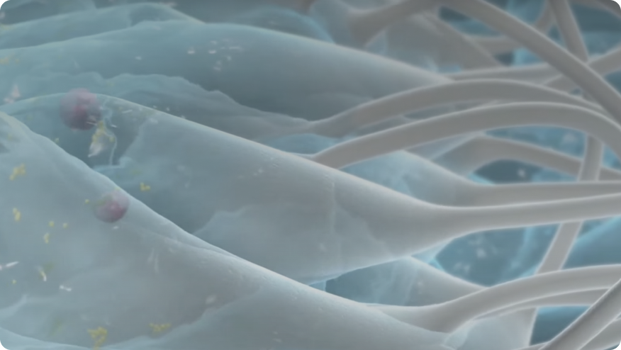 hydrofiber tehnology