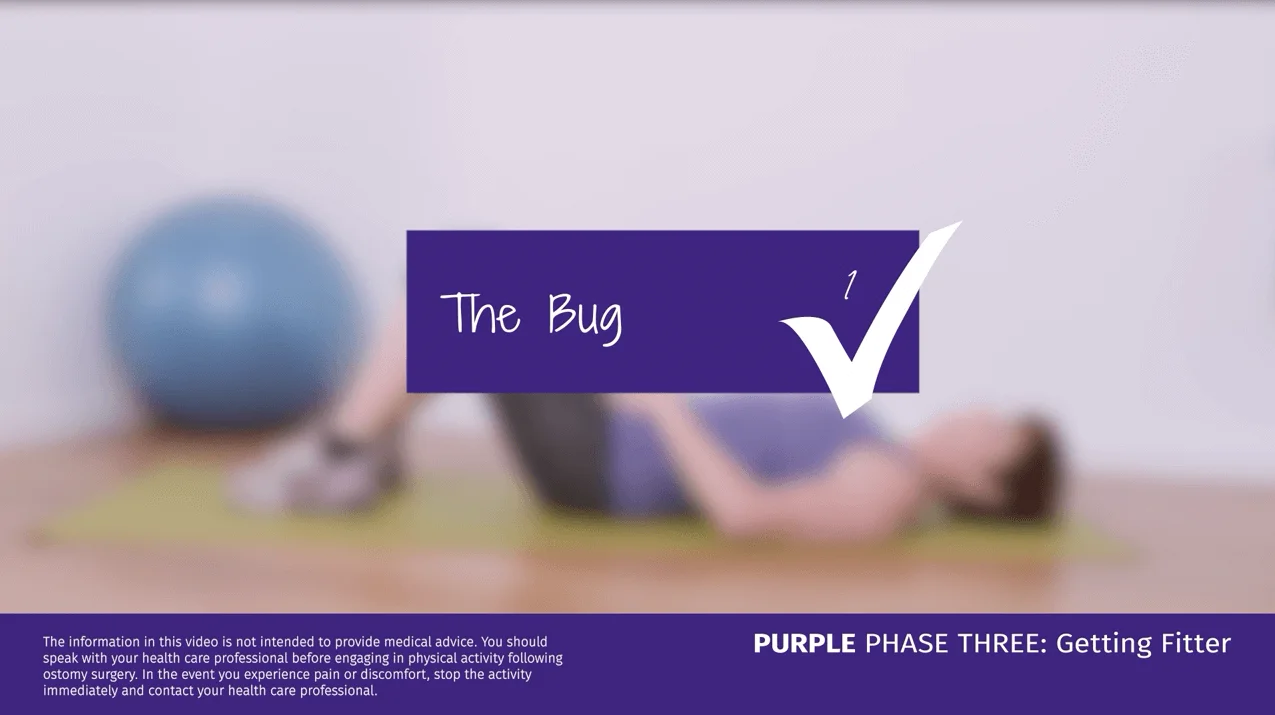 A video thumbnail of 'Purple Phase Three - The Bug'