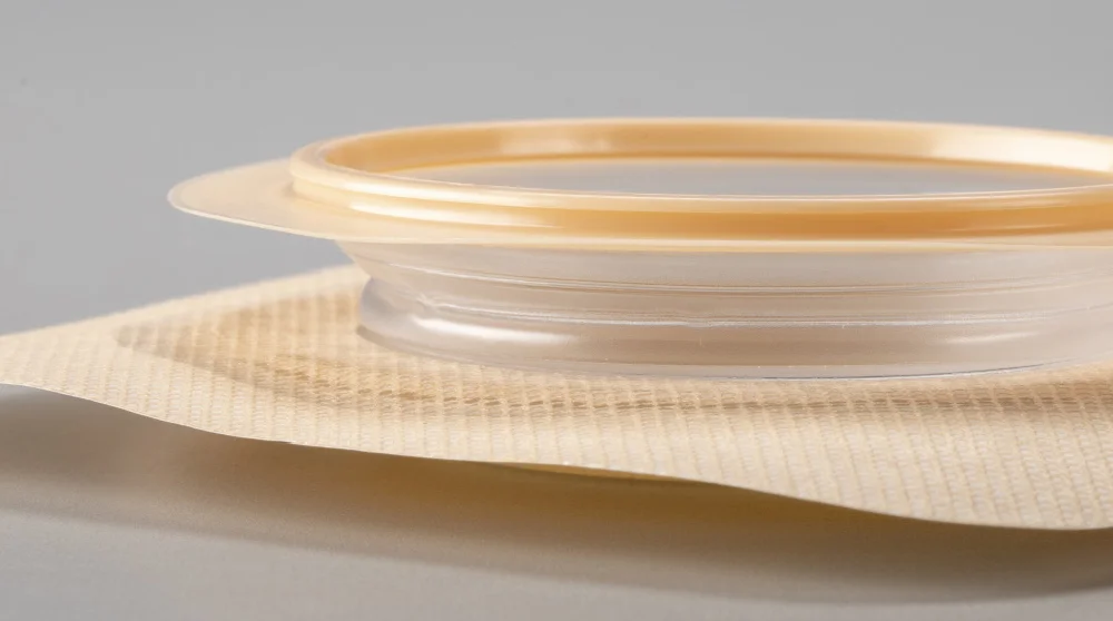 bir Akordeon taban plakası