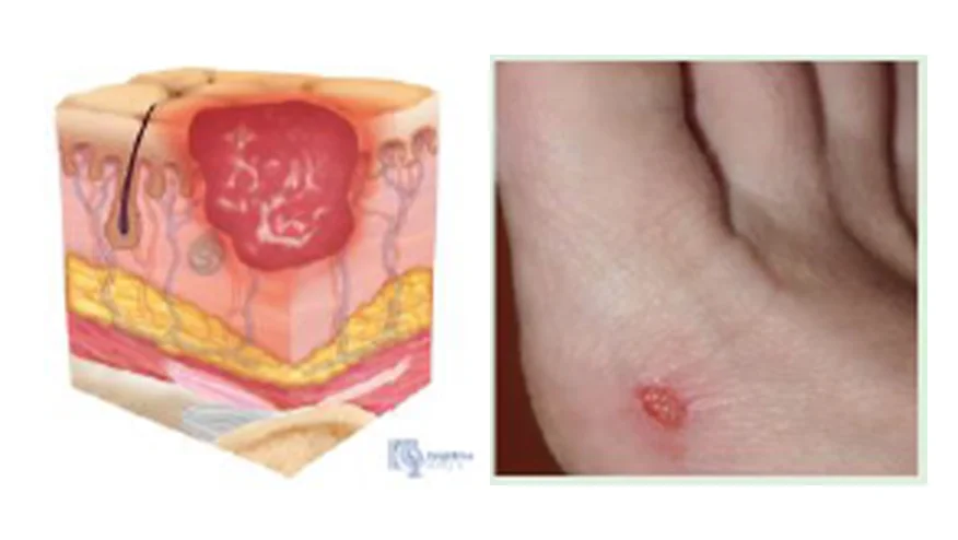 una mano sosteniendo un pedazo de papel