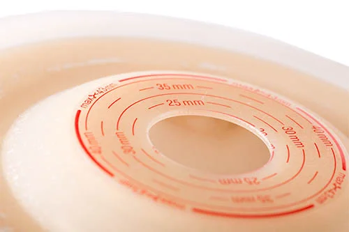 a plate with a circular object on it